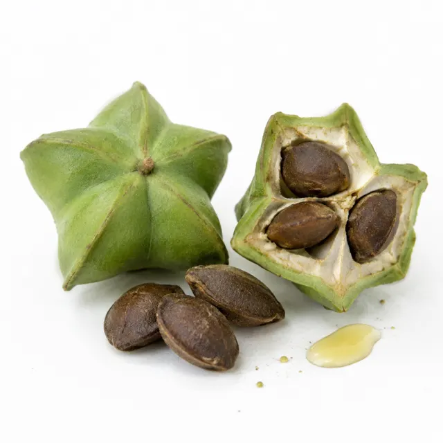 Organic Sacha Inchi Oil