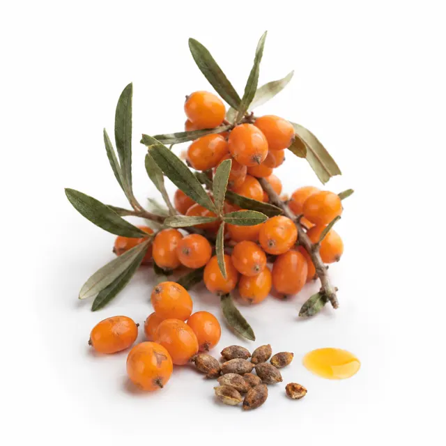 Organic Sea Buckthorn Oil (Pulp)