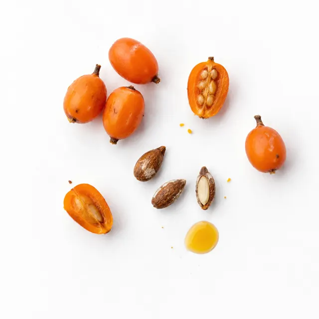 Organic Sea Buckthorn Oil Seeds