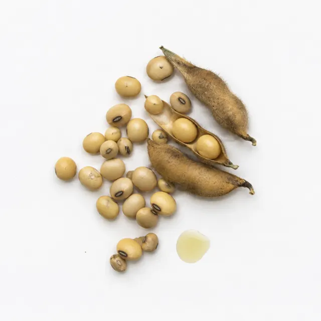 Organic Soybean Oil