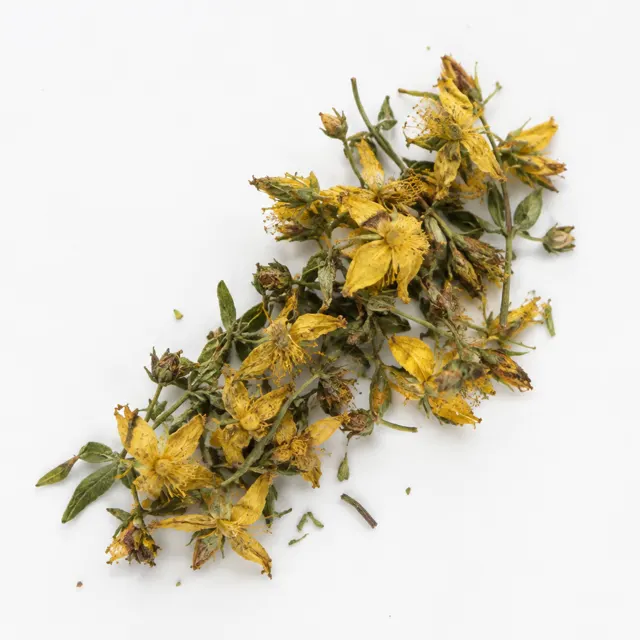 Organic St. John's Wort Infused In Sunflower Oil