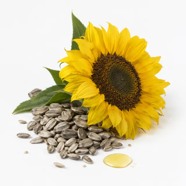 Organic Sunflower Oil