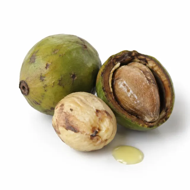 Organic Tamanu Oil