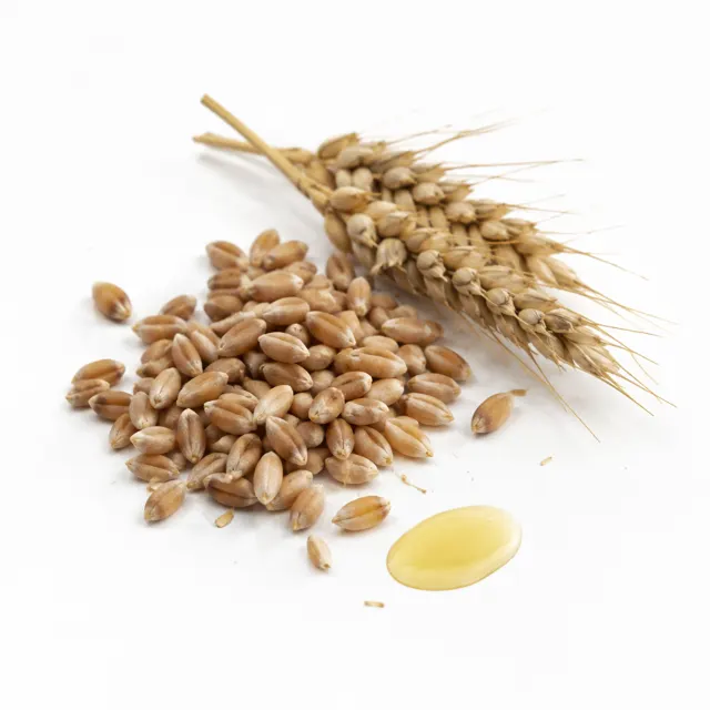 Organic Wheat Germ Oil