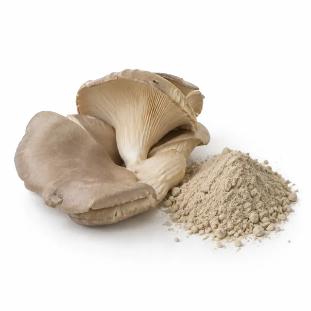 Oyster Mushroom Powder Pleurotus ostreatus Organic