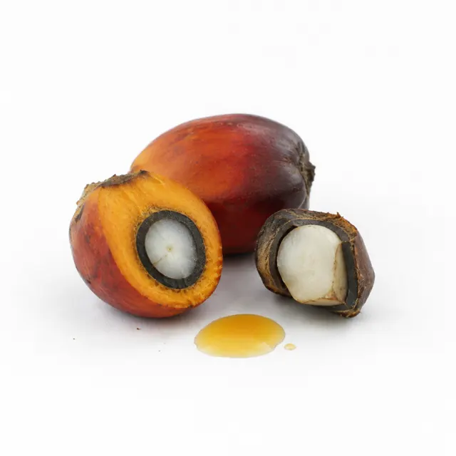 Palm Oil Organic