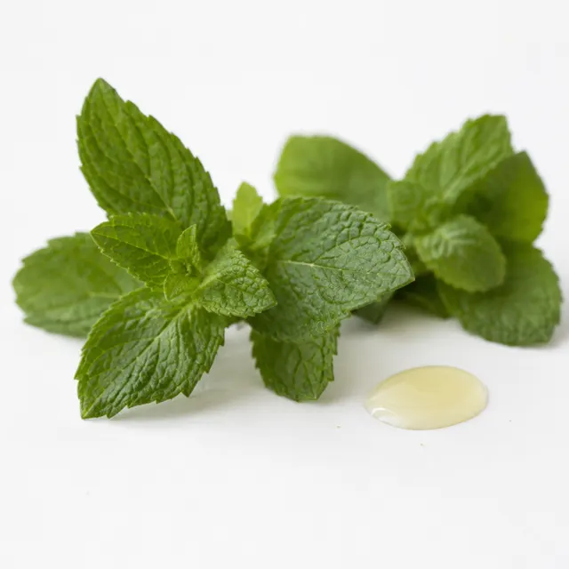 Peppermint Essential Oil Food Grade