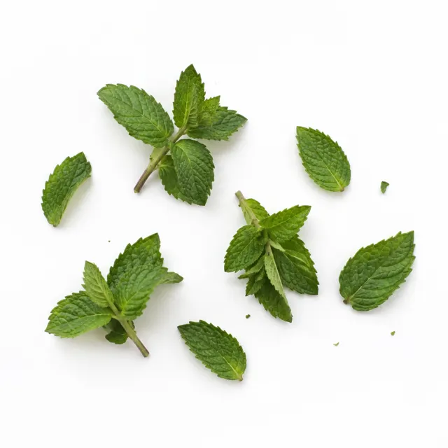 Peppermint Essential Oil