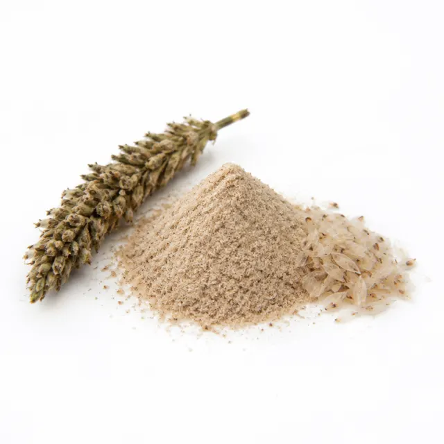 Psyllium Husk Powder Organic