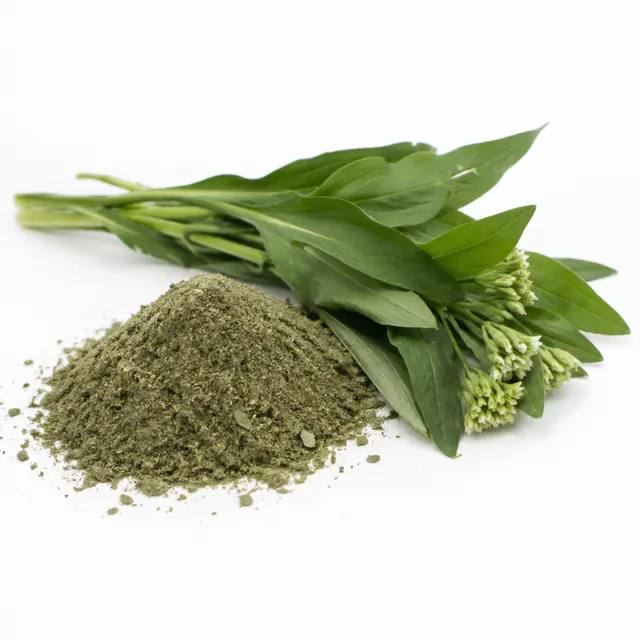 Ramson Powder Organic