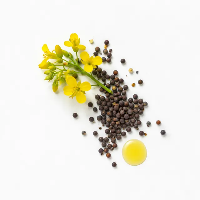 Rapeseed Oil Organic 25 L