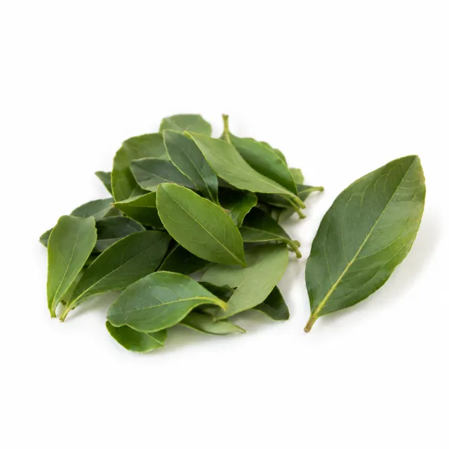 Ravintsara Essential Oil