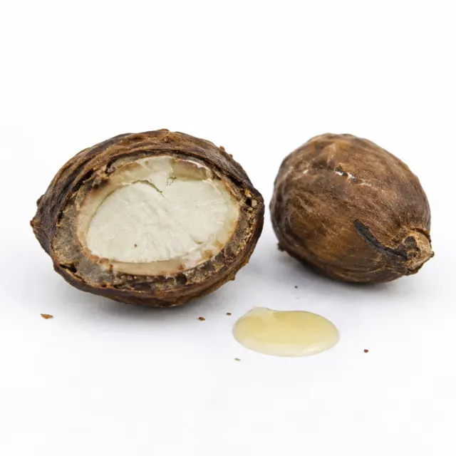Refined Camelia Japanese Oil