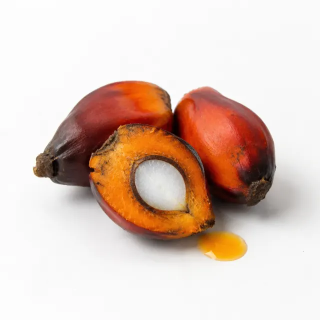 Refined Food Grade Apricot Oil