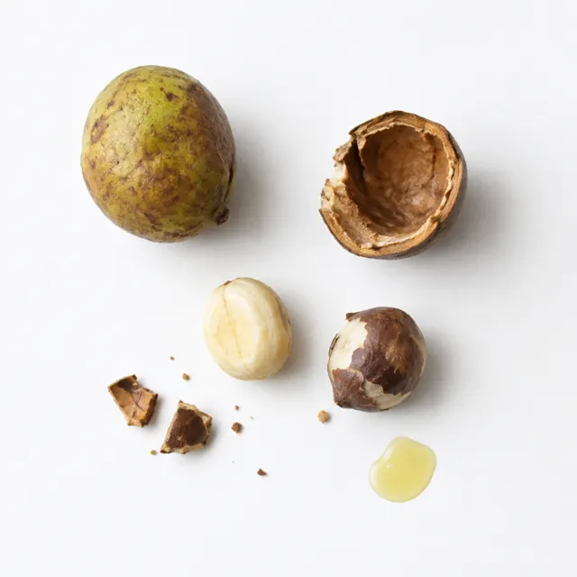 Refined Kukui Oil