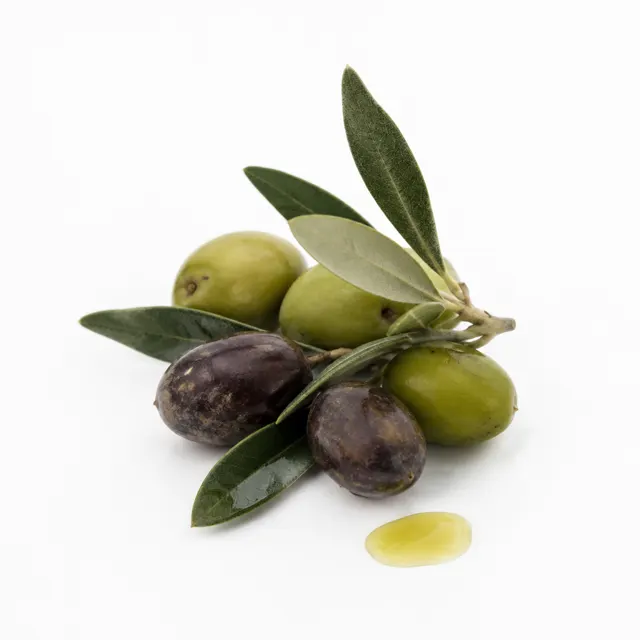 Refined Olive Oil - Food Grade