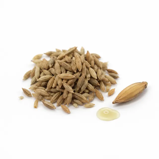Refined Rice Oil