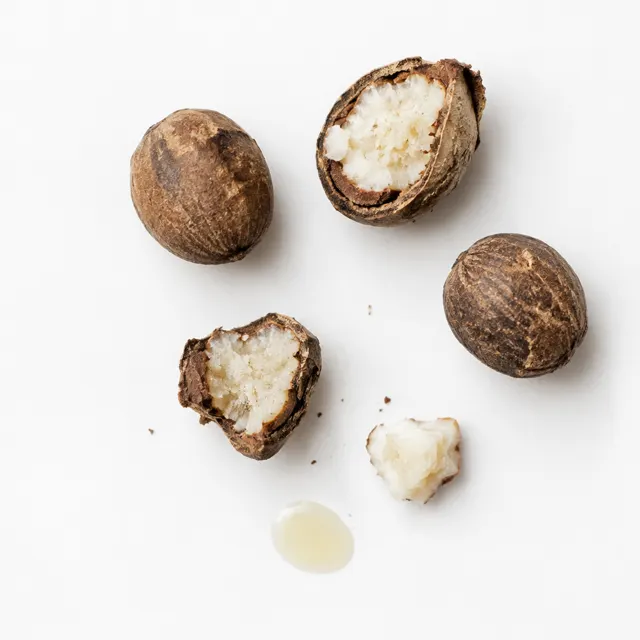 Refined Shea Butter Oil
