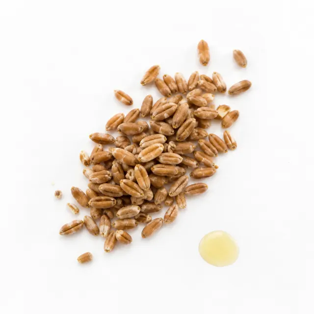 Refined Wheat Germ Oil