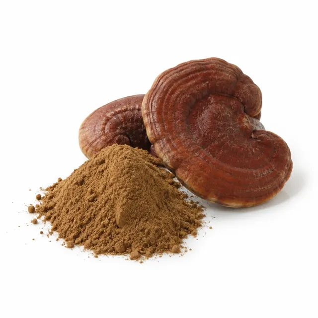 Reishi Extract 30% Organic