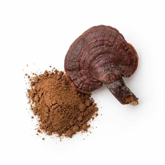 Reishi Mushroom Powder Organic