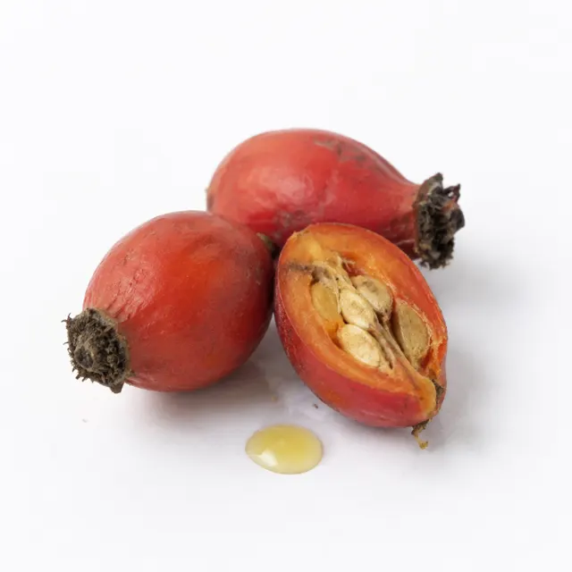 Rosehip Oil (Canina)