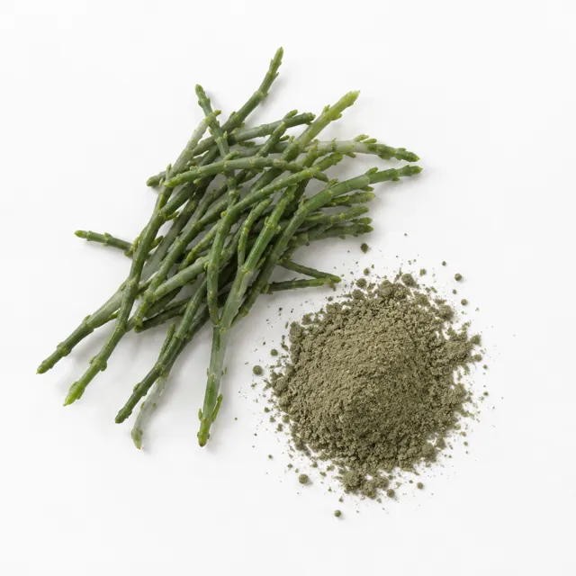 Samphire Silt Powder Organic