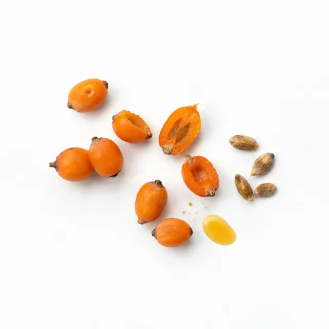 Sea Buckthorn Oil Pulp