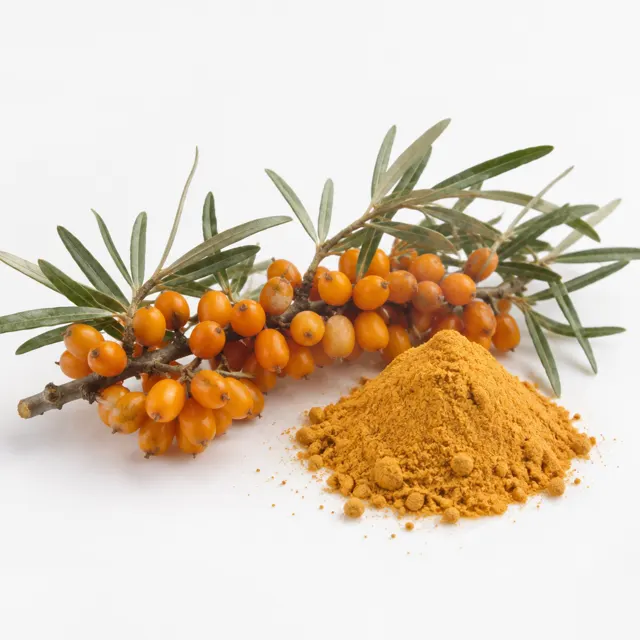 Sea Buckthorn Powder Freeze Dried Organic