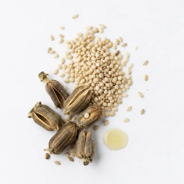Sesame oil Coldpressed Organic
