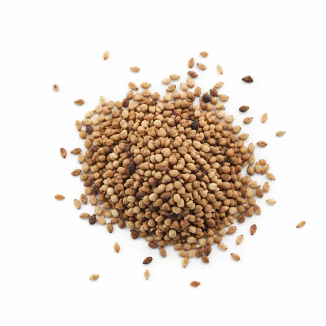 Sesame Seeds Roasted Unhulled Organic