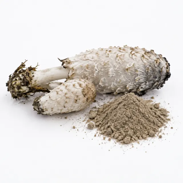Shaggy Inkcap Mushroom Powder Coprinus comatus Organic