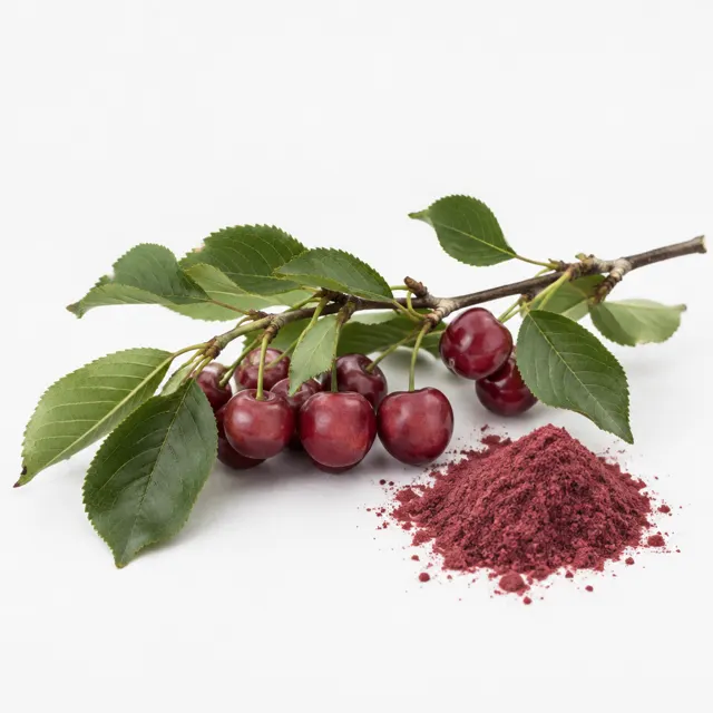 Sour Cherry Juice Concentrate Powder Organic