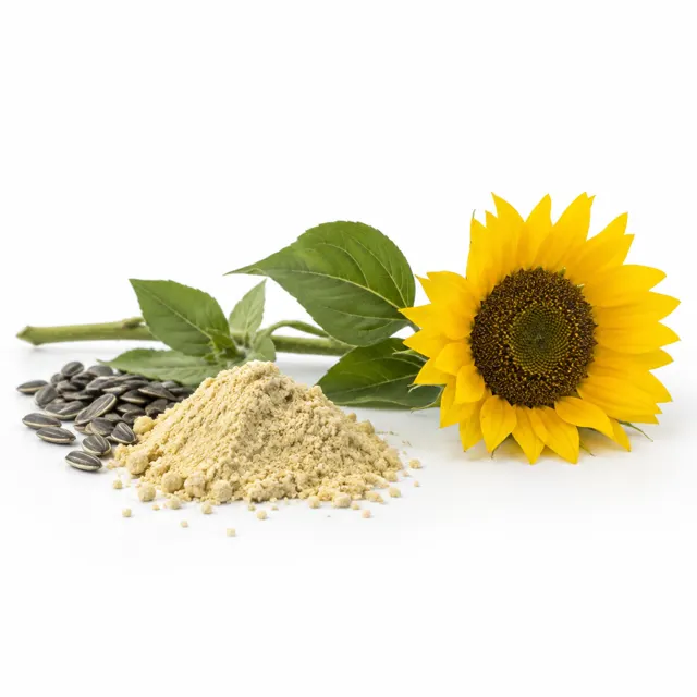 Sunflower Lecithin Powder Organic