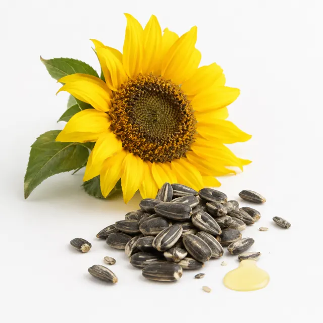 Sunflower Oil Deodorized Organic