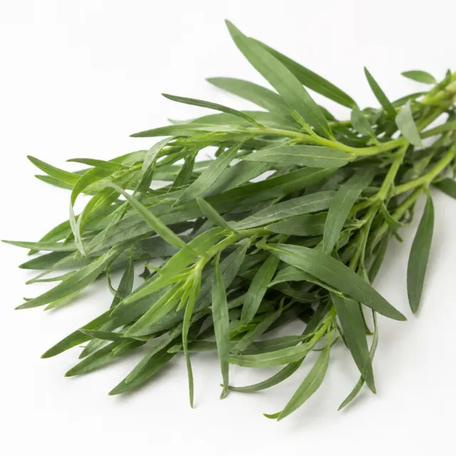 Tarragon Essential Oil