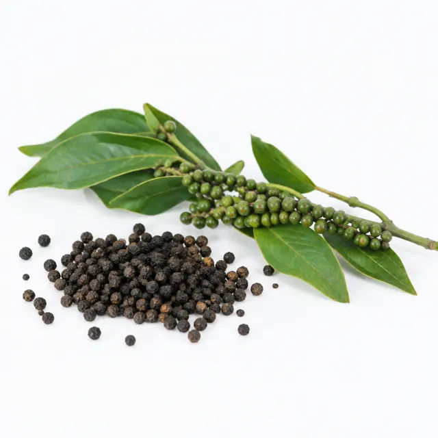 Tellicherry Pepper TGSEB India Organic