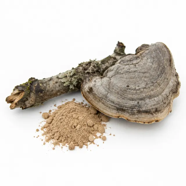 Tinder Fungus Powder Fomes fomentarius Organic