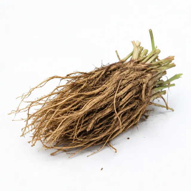 Vetiver Essential Oil