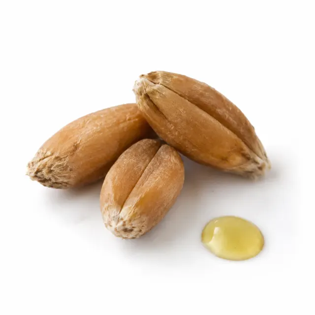 Wheat Germ Oil