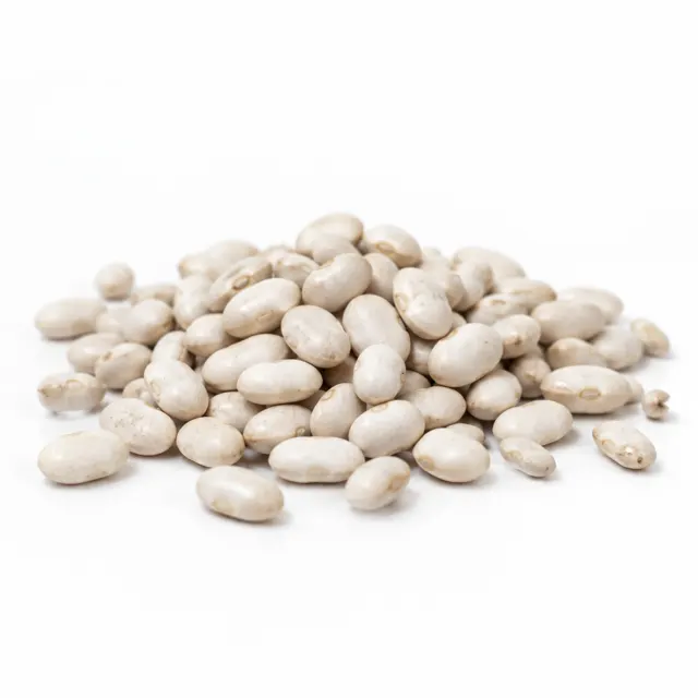 White beans medium Whole Organic