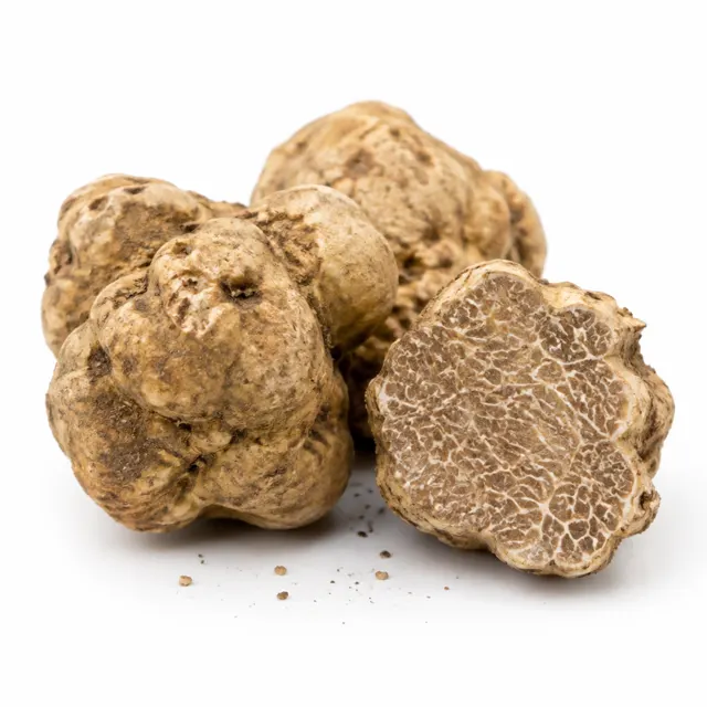 White Truffle Hydroglycerinated Extract