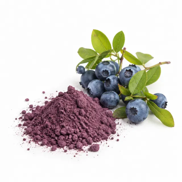 Wild Blueberry Powder Freeze Dried Organic