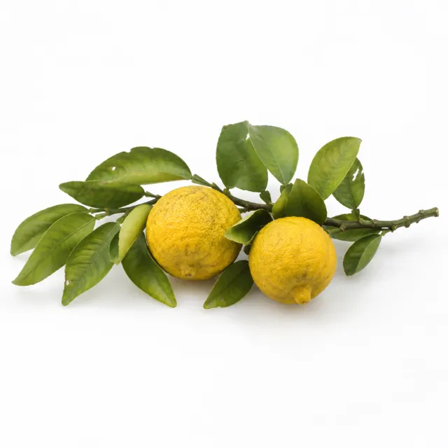 Yuzu Essential Oil